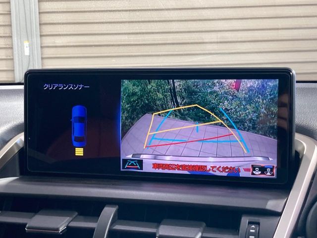 LEXUS NX300