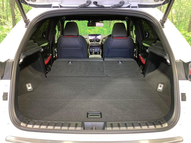 LEXUS NX300