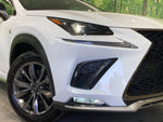 LEXUS NX300