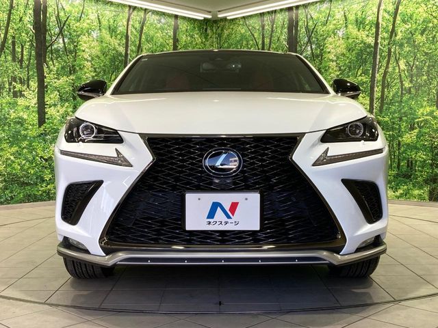 LEXUS NX300