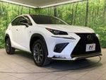 LEXUS NX300