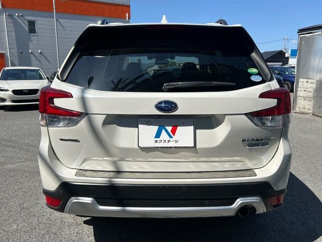 FORESTER