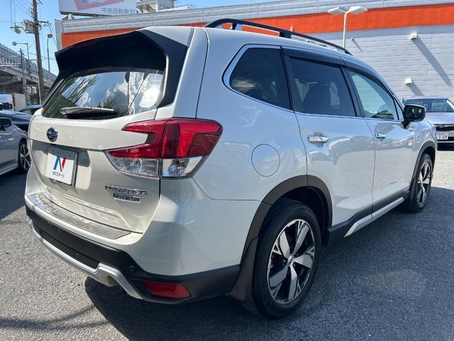 FORESTER