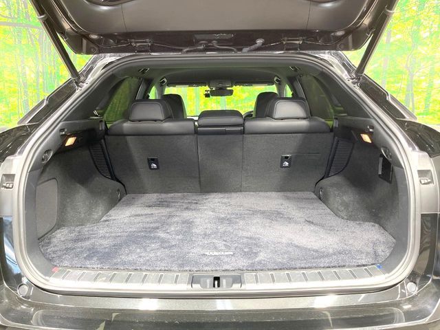 LEXUS RX450h AWD