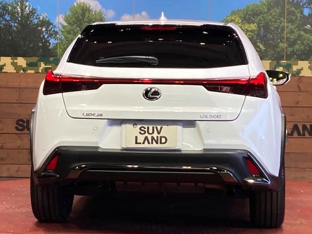 LEXUS UX200