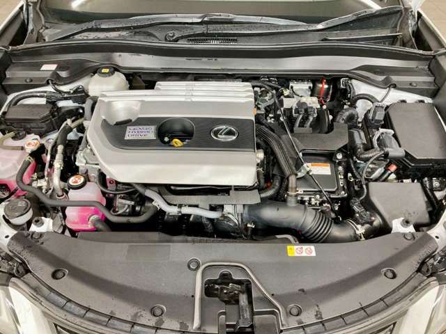 LEXUS UX250h AWD