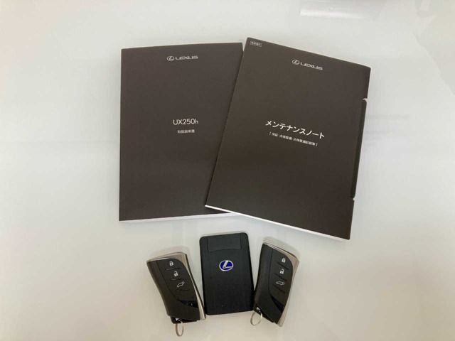 LEXUS UX250h AWD