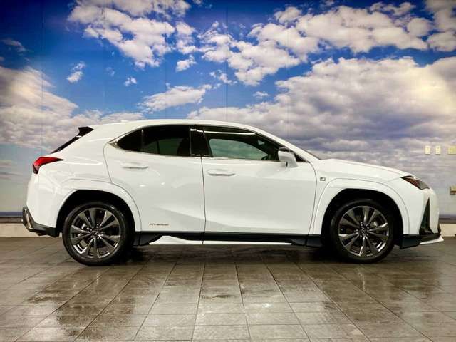 LEXUS UX250h AWD