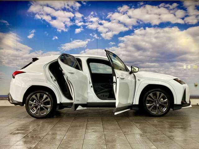 LEXUS UX250h AWD