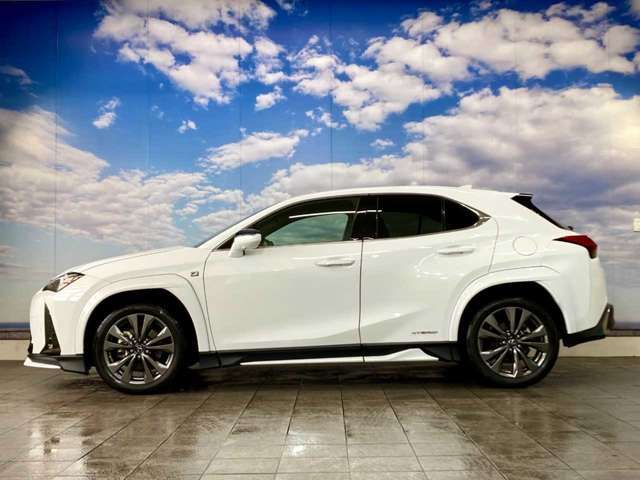 LEXUS UX250h AWD