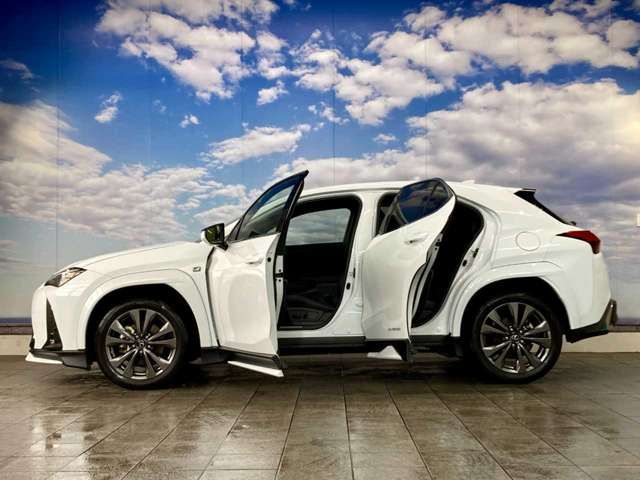 LEXUS UX250h AWD