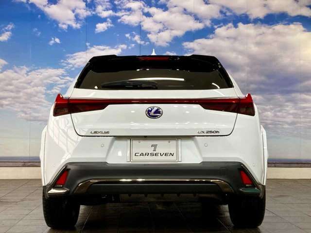 LEXUS UX250h AWD