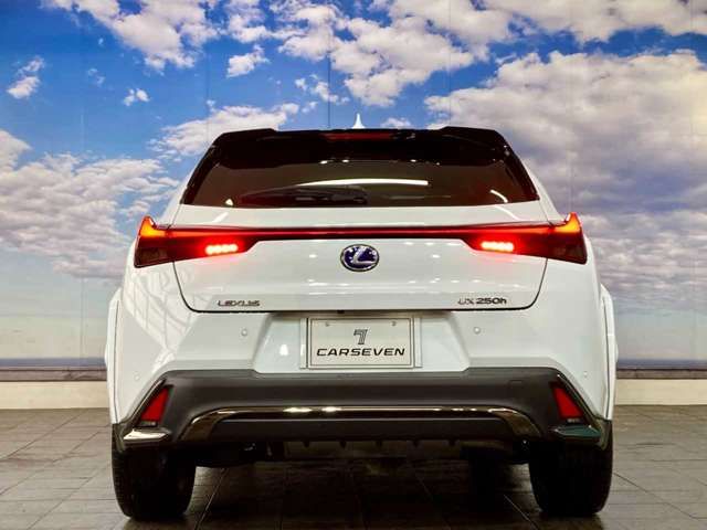 LEXUS UX250h AWD