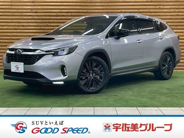 LEVORG LAYBACK
