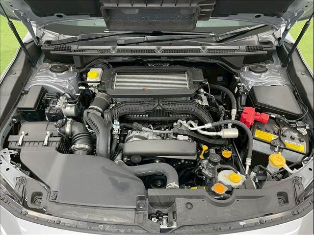 LEVORG LAYBACK