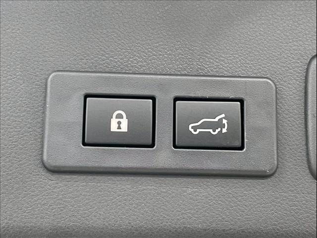 LEVORG LAYBACK
