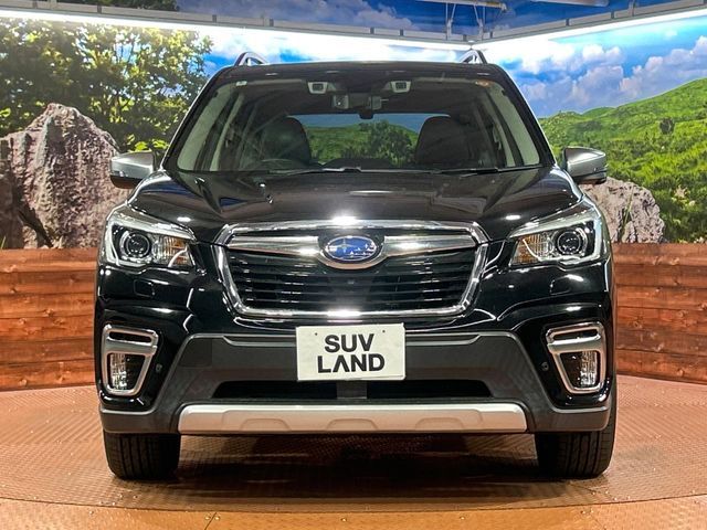 FORESTER