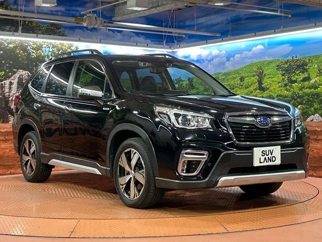 FORESTER