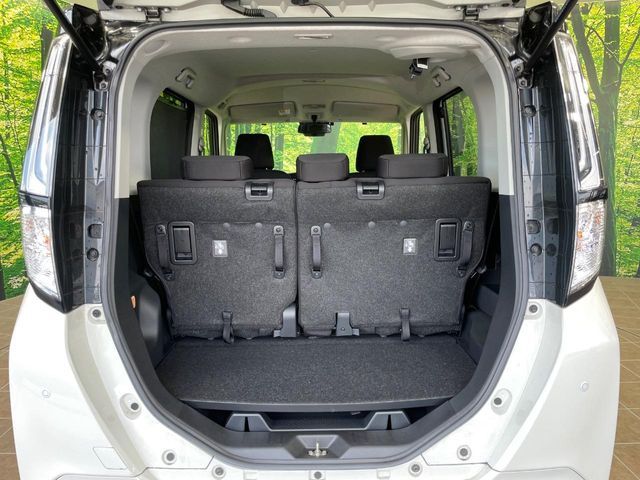ROOMY