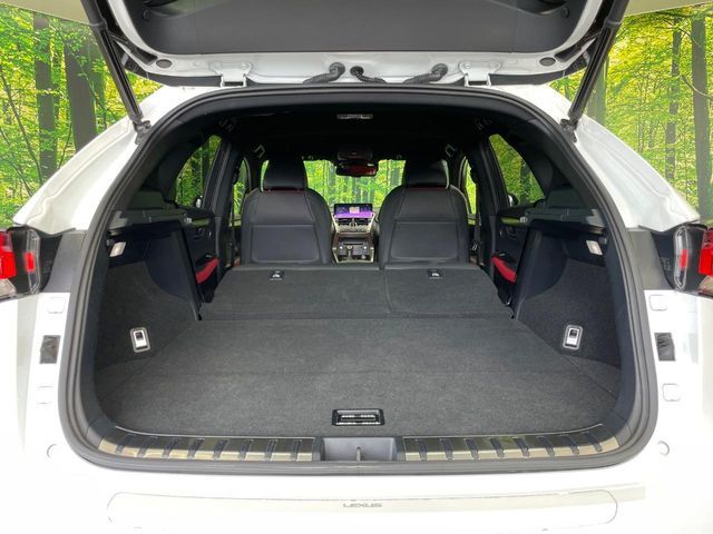 LEXUS NX300h