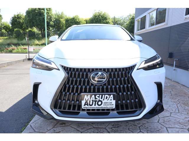 LEXUS NX350h