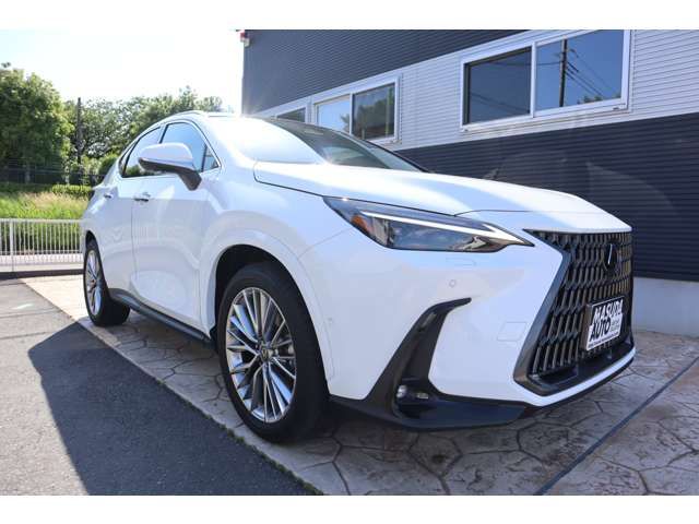 LEXUS NX350h