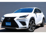 LEXUS NX300