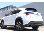 LEXUS NX300