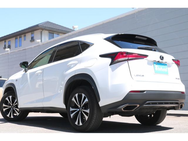 LEXUS NX300