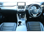 LEXUS NX300
