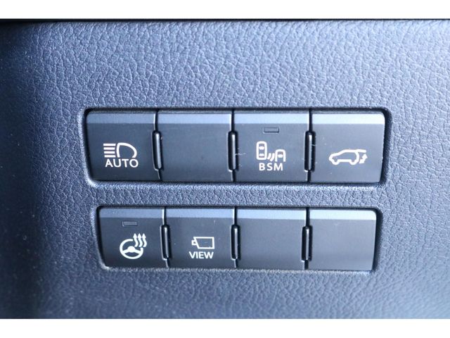 LEXUS NX300