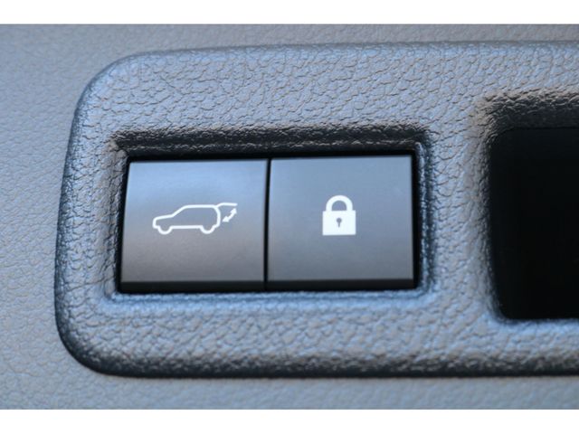 LEXUS NX300
