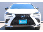 LEXUS NX300