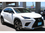 LEXUS NX300