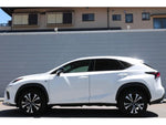 LEXUS NX300