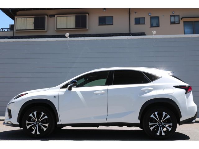 LEXUS NX300