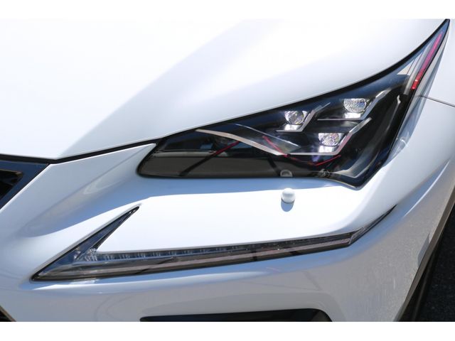 LEXUS NX300