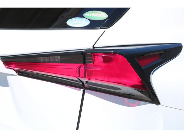 LEXUS NX300