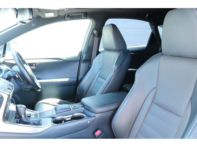 LEXUS NX300