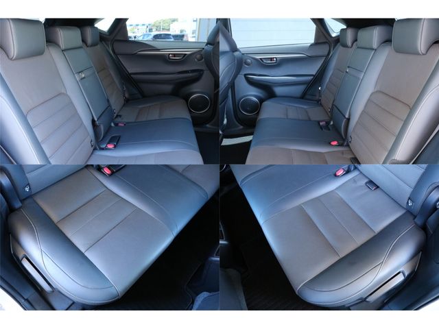LEXUS NX300