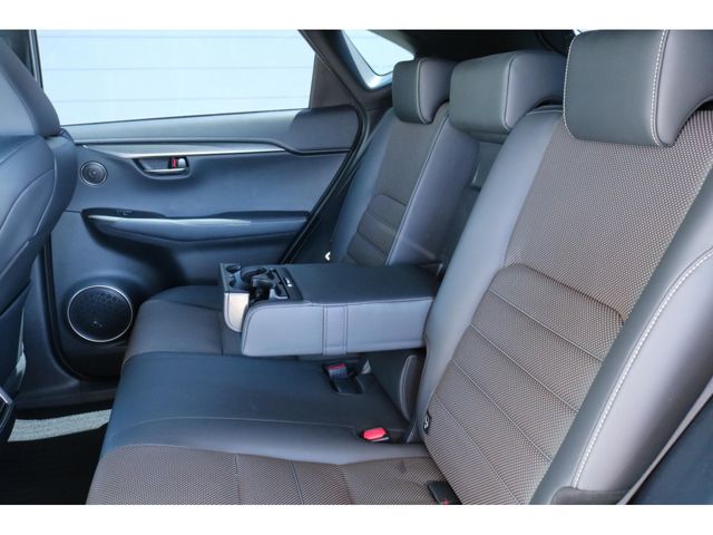 LEXUS NX300