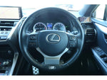 LEXUS NX300