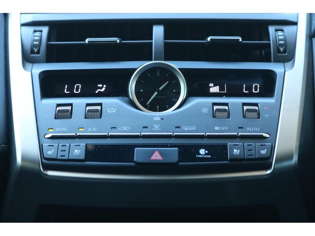LEXUS NX300