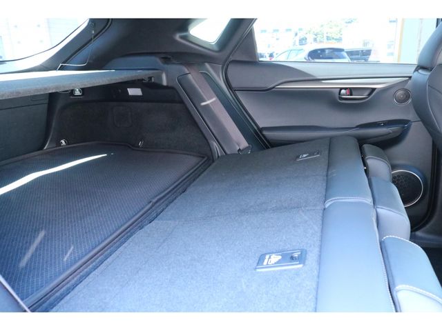 LEXUS NX300