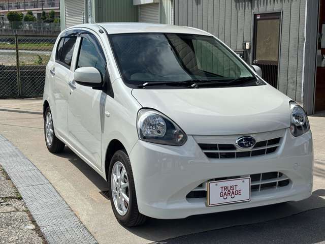 PLEO PLUS