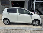 PLEO PLUS