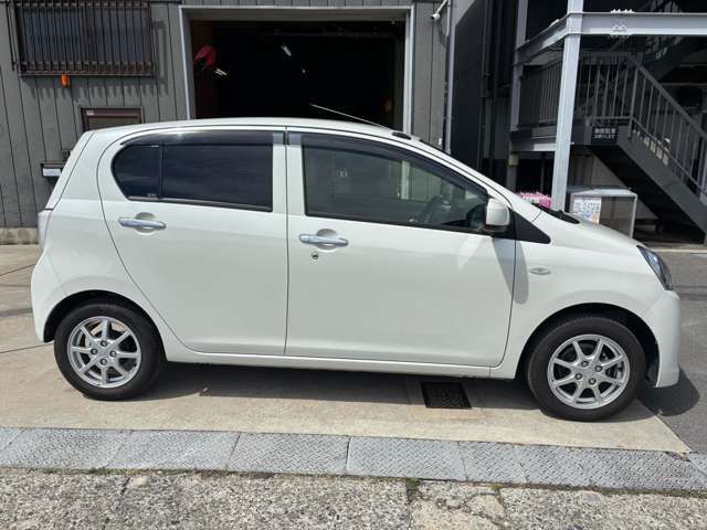 PLEO PLUS
