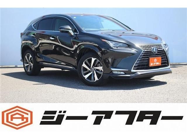 LEXUS NX300