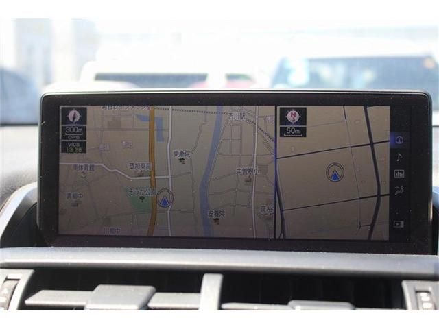 LEXUS NX300