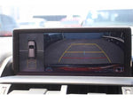 LEXUS NX300